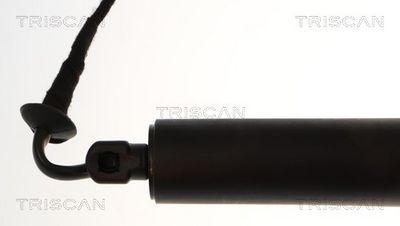 Plynárenská vzpera (pneumatická pružina), zavazadlový priestor TRISCAN 8710 28311