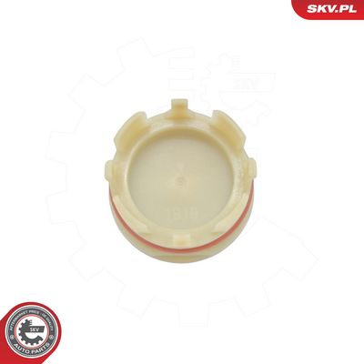 CAPAC DISTRIBUTIE BLOC MOTOR ESEN SKV 97SKV341 2
