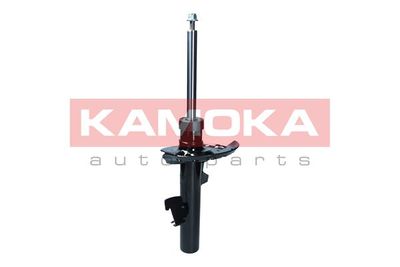 Shock Absorber 2000571