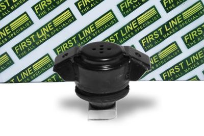 окачване, двигател FIRST LINE FEM3101