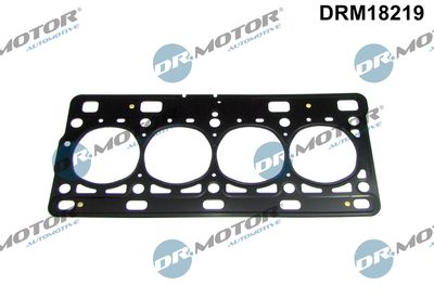 Dr.Motor Automotive DRM18219 Прокладка ГБЦ  для DACIA  (Дача Логан)