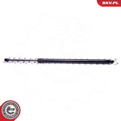 Dujinė spyruoklė, bagažinė