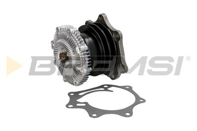 BREMSI WP0117 Помпа (водяной насос)  для NISSAN (Ниссан)