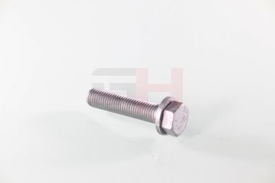 SURUB CAPAT DE AX GH GH391539 26