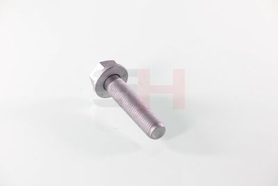 SURUB CAPAT DE AX GH GH391539 50