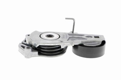 INTINZATOR CUREA CUREA DISTRIBUTIE