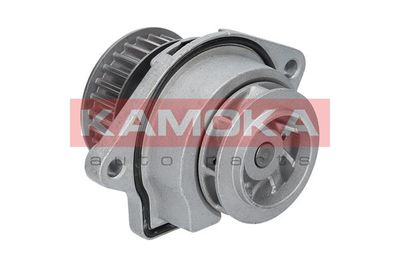 Water Pump, engine cooling T0024