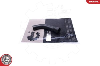 FURTUN EAR SUPRAALIMENTARE