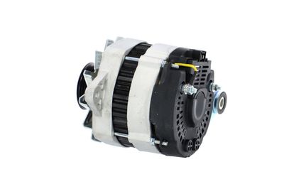 GENERATOR / ALTERNATOR REMANTE 011003000081R 20