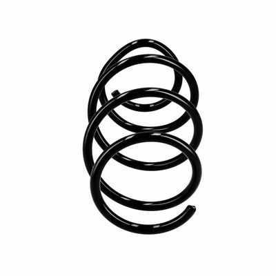 ARC SPIRAL EIBACH R10723 13