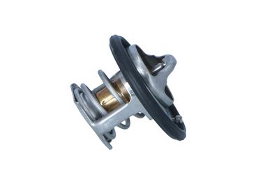 TERMOSTAT LICHID RACIRE NRF 725305 25