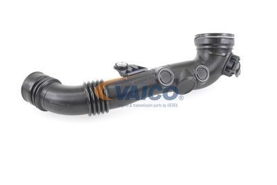 ANSAUGSCHLAUCH LUFTFILTER VAICO V203973 33