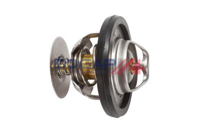 TERMOSTAT LICHID RACIRE BOGAP E4245108 1