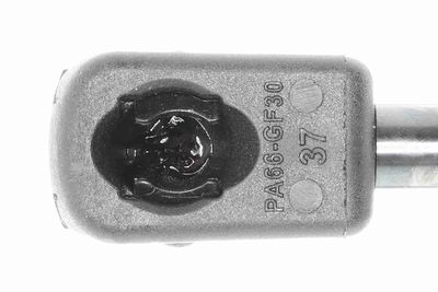 AMORTIZOR PORTBAGAJ ACKOJA A520096 1