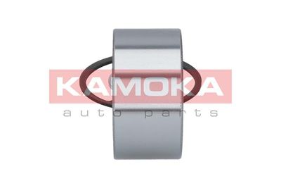 Wheel Bearing Kit 5600084