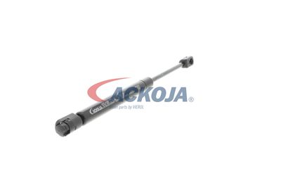 AMORTIZOR PORTBAGAJ ACKOJA A320134 53