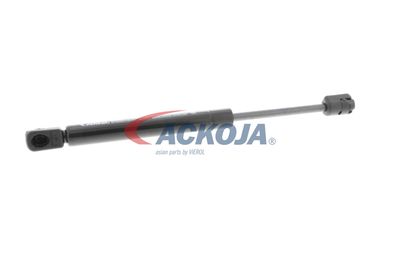 AMORTIZOR PORTBAGAJ ACKOJA A380073 58