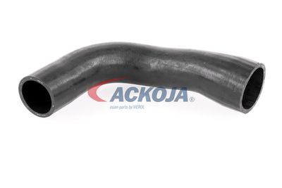 FURTUN EAR SUPRAALIMENTARE ACKOJA A389600 11