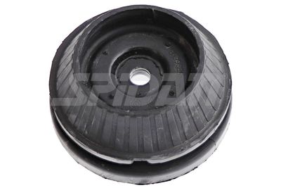 FEDERBEINSTüTZLAGER