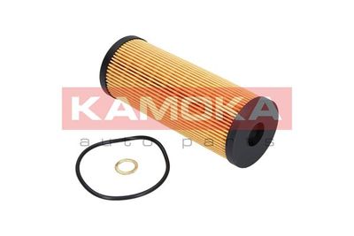 Oil Filter F108601