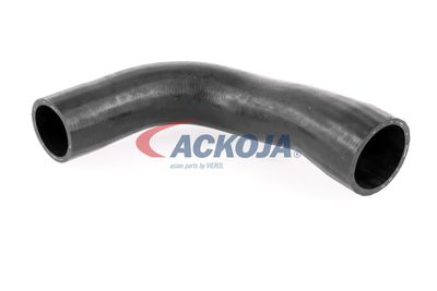 FURTUN EAR SUPRAALIMENTARE ACKOJA A389600 13