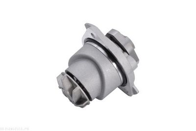 POMPă DE APă RăCIRE MOTOR