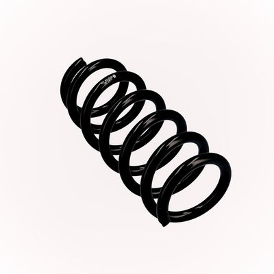 ARC SPIRAL EIBACH R23128 11