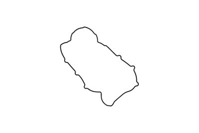 GARNITURA CAPAC SUPAPE