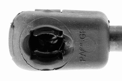 GASFEDER KOFFER-/LADERAUM VAICO V500041 1