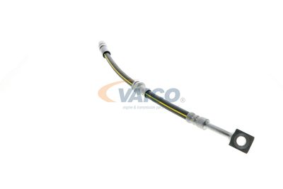 FURTUN FRANA VAICO V404110 48
