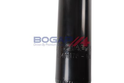AMORTIZOR BOGAP A3411176 4