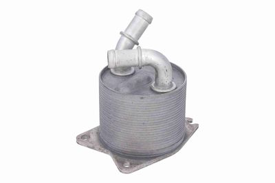 RADIATOR RACIRE ULEI CUTIE DE VITEZE AUTOMATA VEMO V10600076 2