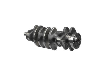 ARBORE COTIT ET ENGINETEAM HK0205 21