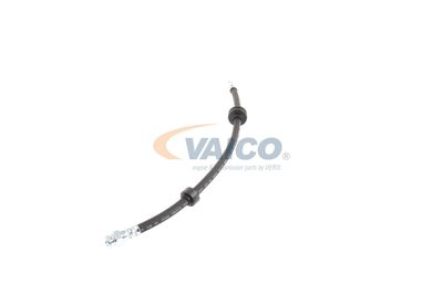 FURTUN FRANA VAICO V240328 16