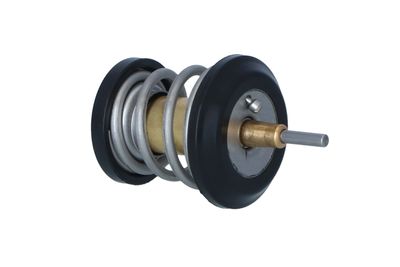 TERMOSTAT LICHID RACIRE NRF 725250 38