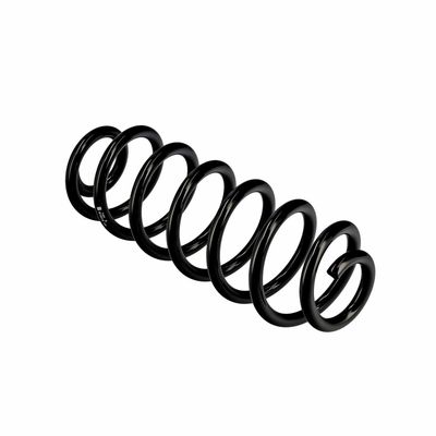 ARC SPIRAL EIBACH R10319 22