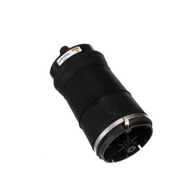 LUFTFEDER FAHRWERK Arnott A3025 68