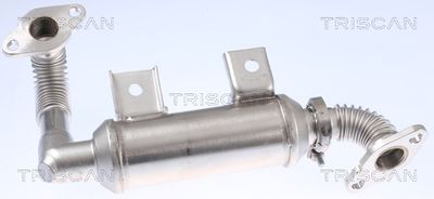 RADIATOR RECIRCULARE GAZE DE ESAPAMENT TRISCAN 881316103 3