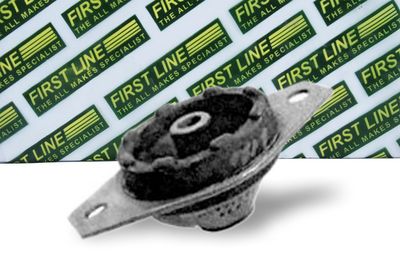 окачване, двигател FIRST LINE FEM3042