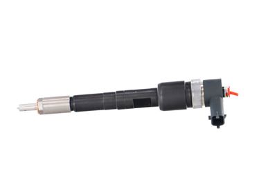 INJECTOR REMANTE 002003001711R 11