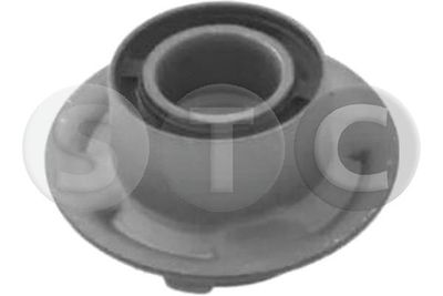 Zavěšení, tělo nápravy STC T453654