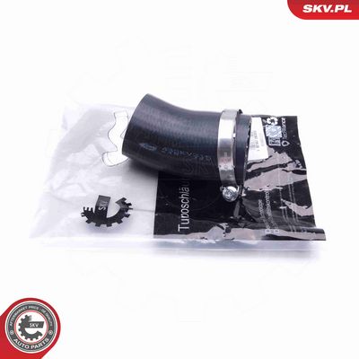 FURTUN EAR SUPRAALIMENTARE