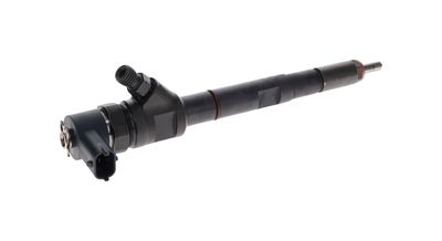 INJECTOR BOSCH 0445110274 14