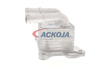 RADIATOR ULEI ULEI MOTOR ACKOJA A38600004 23
