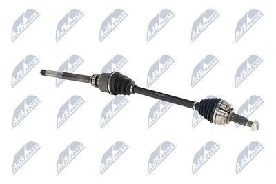 PLANETARA NTY NPWPE017 10