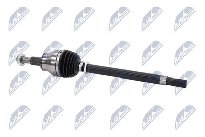 PLANETARA NTY NPWCH154 9