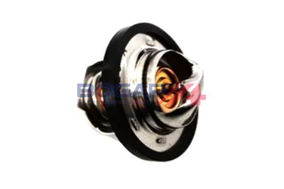 TERMOSTAT LICHID RACIRE