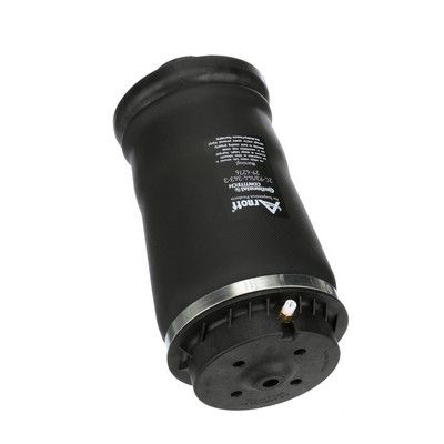 ARC PNEUMATIC DIRECTIE Arnott A2596 58