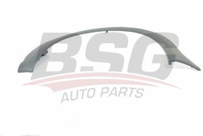 BSG BSG 30-922-147 Крыло переднее для FORD TOURNEO CONNECT 1.8 TDCi /TDDi /DI BSG BSG 30-922-147 Крыло переднее для FORD TOURNEO CONNECT 1.8 TDCi /TDDi /DI