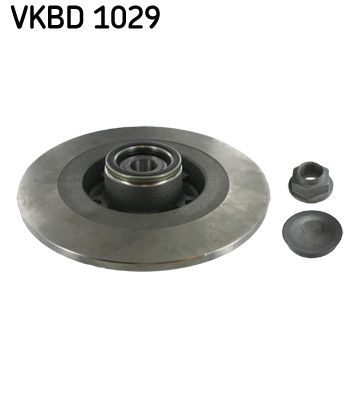 SKF VKBD 1029 Гальмівні диски 